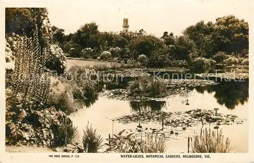 AK / Ansichtskarte Melbourne_Victoria Water Lilies Botanical Gardens Melbourne Victoria