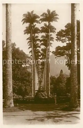 AK / Ansichtskarte Rio_de_Janeiro Park Brunnen Palmen Rio_de_Janeiro