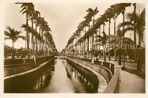 AK / Ansichtskarte Rio_de_Janeiro Kanal Palmen Rio_de_Janeiro