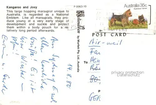 AK / Ansichtskarte Australien Kangoroo and Joey Australien