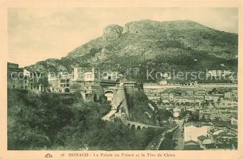 AK / Ansichtskarte Monaco Palais du Prince Tete de Chien Monaco