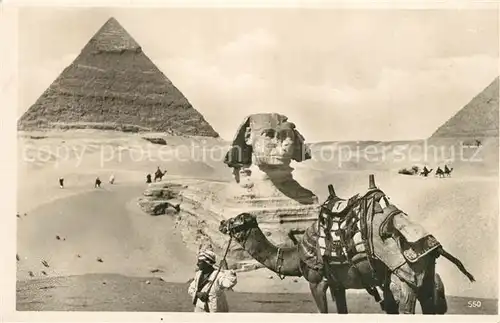 AK / Ansichtskarte Cairo_Egypt Sphynx Pyramiden Cairo Egypt