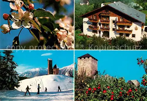 AK / Ansichtskarte Voellan_Lana Pension An der Mayenburg Wintersport Baumbluete Voellan_Lana