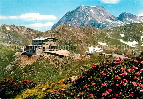 AK / Ansichtskarte Penserjoch_Suedtirol Alpenrosenhof Bergrestaurant Gebirgspass Alpen Penserjoch Suedtirol
