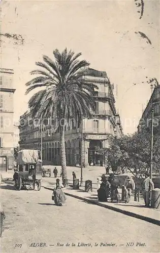 AK / Ansichtskarte Alger_Algerien Rue de la Libert? Palmier  Alger Algerien