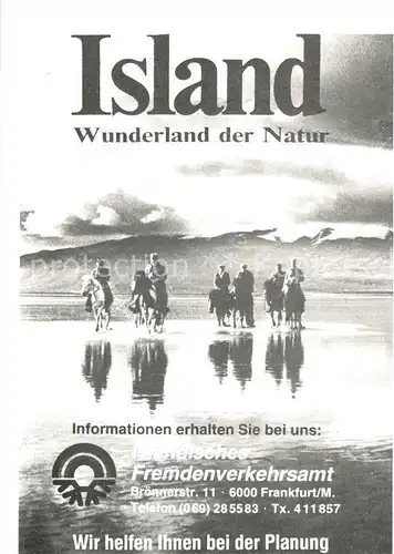 AK / Ansichtskarte Island Reitergruppe Island