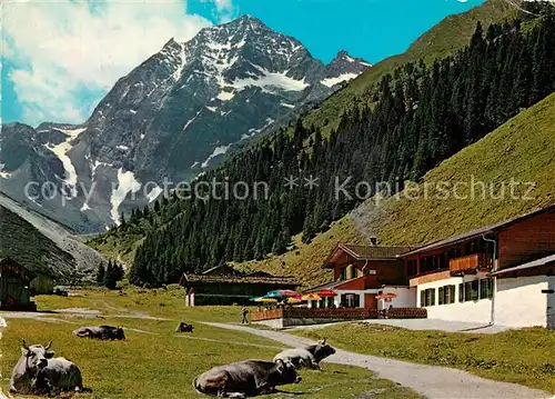 AK / Ansichtskarte Neustift_Stubaital_Tirol Pinnisalm im Pinnistal mit Habicht Stubaier Alpen Neustift_Stubaital_Tirol