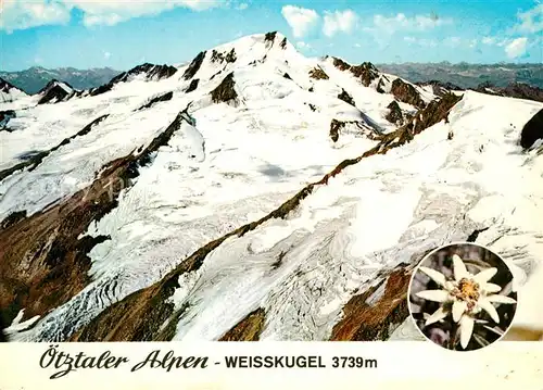 AK / Ansichtskarte Weisskugel Gebirgspanorama mit Hintereisferner Gletscher Edelweiss Weisskugel