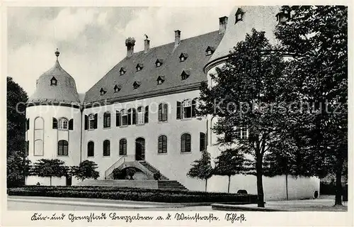 AK / Ansichtskarte Bergzabern_Bad Schloss Bergzabern_Bad