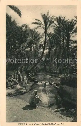 AK / Ansichtskarte Nefta Oued Sed El Bad Nefta