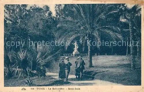 AK / Ansichtskarte Tunis Le Belvedere Sous bois Tunis