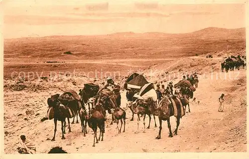 AK / Ansichtskarte Biskra Caravane du Col de Sfa Biskra