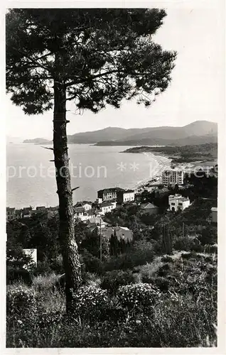 Le_Lavandou Cap Benat Le_Lavandou