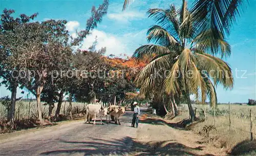 Lajas Carretera desde Lajas a Boqueron Lajas