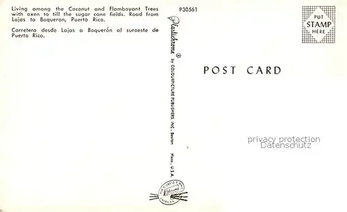 Lajas Carretera desde Lajas a Boqueron Lajas