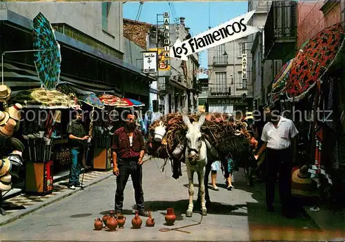 Malgrat_de_Mar Calle tipica Esel Lasttier Malgrat_de_Mar