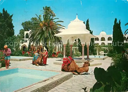 Hammamet Hotel Fourati Swimming Pool Kamele Hammamet