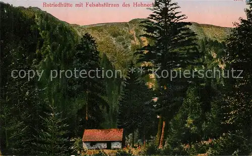 Hohneck Rotriedh?tte mit Felsabst?rzen  Hohneck