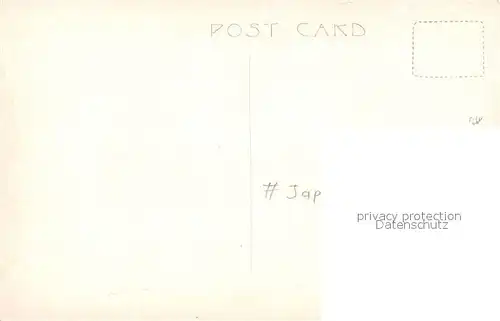 Japan Rehe Kitz Hirsch Wild Japan