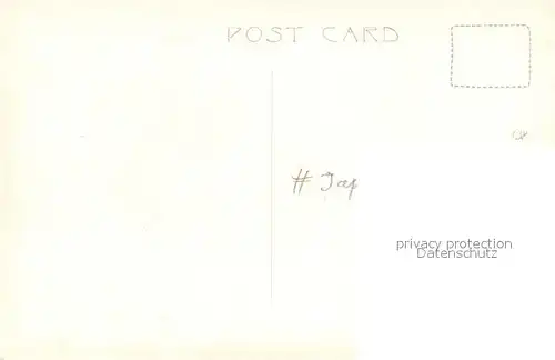 Japan Rehe im Winter Wild Japan