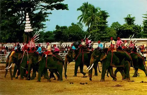Bangkok Elefantenherde mit Reitern nach Surin  Bangkok