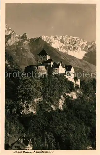 Liechtenstein  Schloss Vaduz 