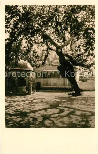 Rodi_Garganico Moschee Regeb Pascia Rodi Garganico