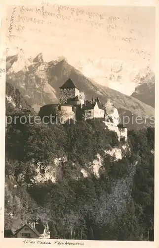 Liechtenstein  Schloss Vaduz 