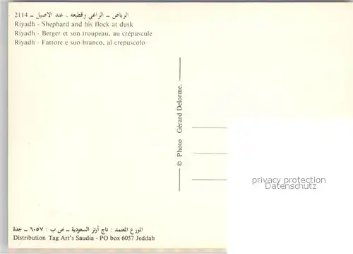 AK / Ansichtskarte Riyadh Shephard and his flock at dusk Riyadh