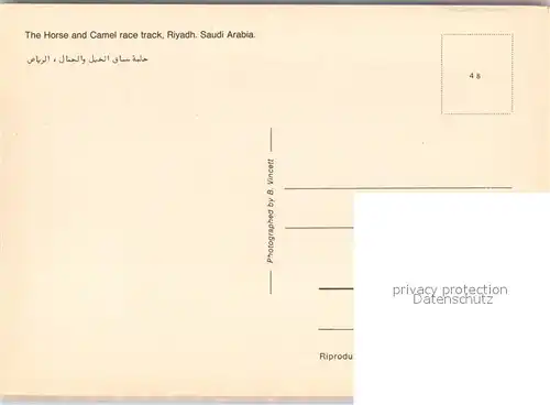 AK / Ansichtskarte Riyadh Horse and Camel race track Riyadh