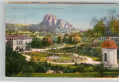 AK / Ansichtskarte Sauerbrunn_Bilin Kurhaus Josefsquelle Borschen Sauerbrunn Bilin