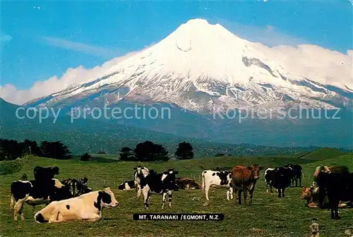AK / Ansichtskarte Egmont_New_Zealand Mount Taranaki farmland Vulkan 