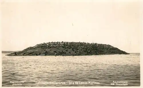 Santa_Cruz_Galapagos Isla de Lobos Marinos Insel mit Seeloewen 