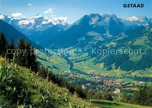 Gstaad Panorama mit Oldenhorn Staldenfluh Meiel Waadtlaender Alpen Gstaad