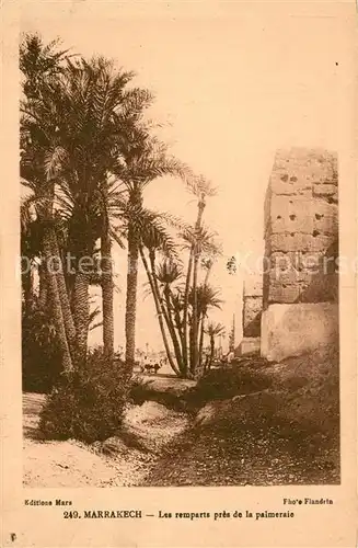 Marrakech_Marrakesch Les remparts pres de la palmeraie Marrakech Marrakesch