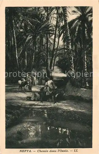 Nefta Chemin dans Oasis Nefta