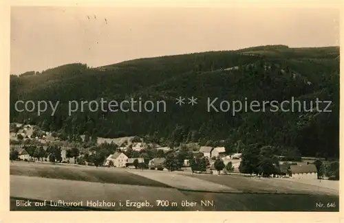 AK / Ansichtskarte Holzhau_Rechenberg Bienenmuehle Panorama Luftkurort im Erzgebirge Holzhau