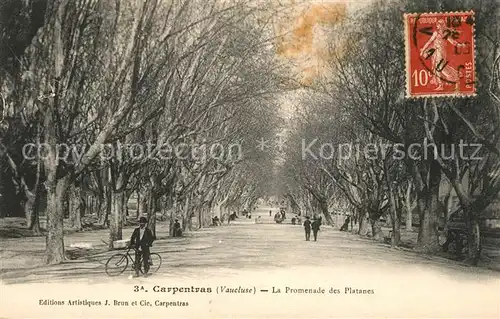AK / Ansichtskarte Carpentras La Promenade des Platanes Carpentras