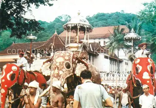 AK / Ansichtskarte Kandy_Sri_Lanka Esela Perahera Kandy_Sri_Lanka