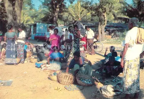 AK / Ansichtskarte Negombo Villa Fish Market Negombo