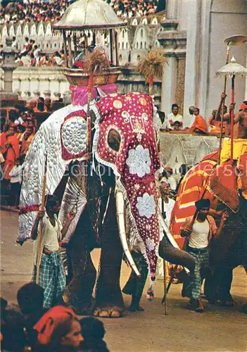 AK / Ansichtskarte Kandy_Sri_Lanka Esala Perehara Kandy_Sri_Lanka
