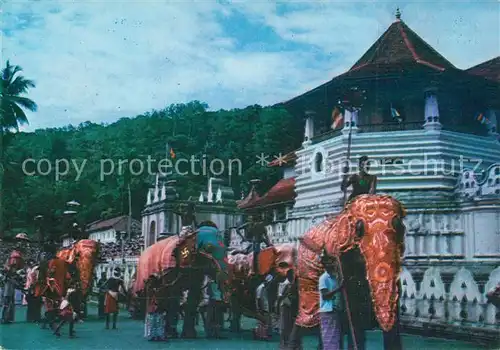 AK / Ansichtskarte Kandy_Sri_Lanka Perahera Kandy_Sri_Lanka