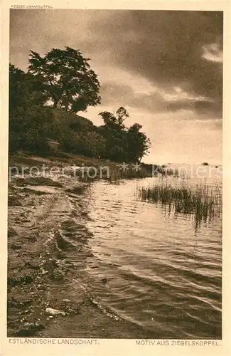 AK / Ansichtskarte Tallinn Estlaendische Landschaft Motiv aus Ziegelskoppel Tallinn