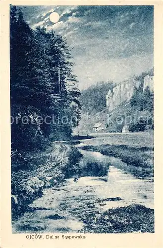 AK / Ansichtskarte Ojcow Dolina Saspowska Ojcow