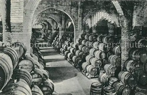 AK / Ansichtskarte San_Sadurni_de_Noya Casa Codorniu Una bodega San_Sadurni_de_Noya