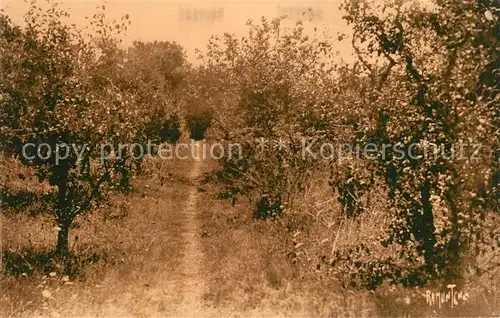 AK / Ansichtskarte Ile_d_Oleron La Maison des Aieules St. Pierre Ile_d_Oleron