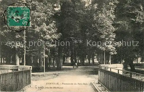 AK / Ansichtskarte Joinville_Haute Marne Promenade du Petit Bois Joinville_Haute Marne