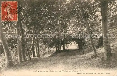 AK / Ansichtskarte Erquy Sous bois au Vallon de Cavey Erquy