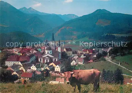 AK / Ansichtskarte Mariazell_Steiermark Kirche Kuh Panorama Mariazell_Steiermark