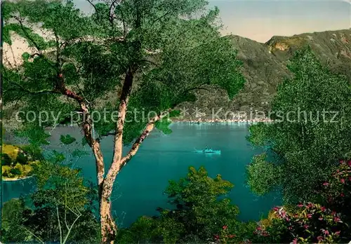 AK / Ansichtskarte Dintorni Isola Comacina Lago di Como Dintorni